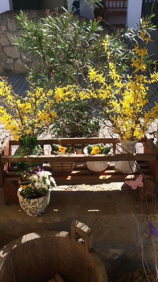 Falubiro Vendeghaza Bekolce Exterior photo